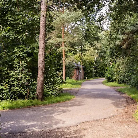 Woodland Retreat W Fireplace