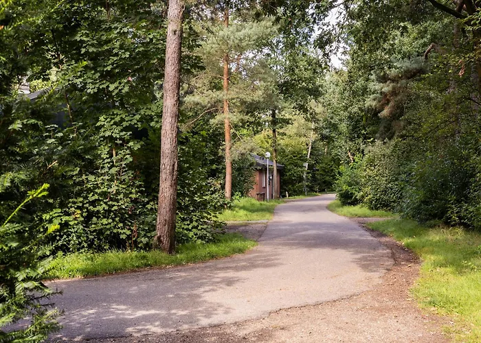 Woodland Retreat W Fireplace